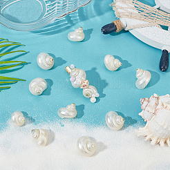 15Pcs Mini Natural Spiral Shell Beads&nbsp;FIND-PH0026-80