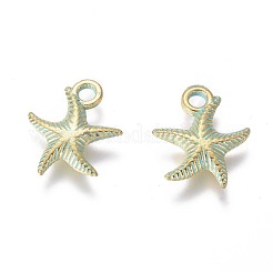 Alloy Charms&nbsp;PALLOY-L222-038GGP