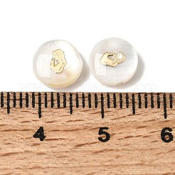Natural Freshwater Shell Flat Round Beads&nbsp;SHEL-C009-01B