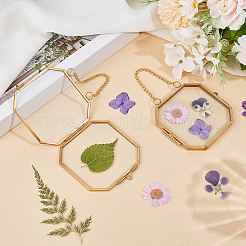 Alloy & Glass Locket Pendants&nbsp;FIND-WH0173-073A