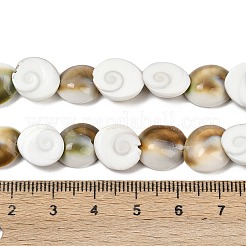 Natural Shiva Eye Shell Beads Strands&nbsp;SHEL-G021-01A