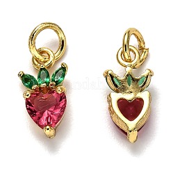 Brass Micro Pave Cubic Zirconia Charms&nbsp;ZIRC-H119-06G