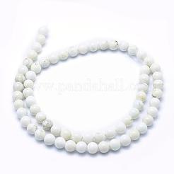 Natural Magnesite Beads Strands&nbsp;TURQ-G148-09-6mm