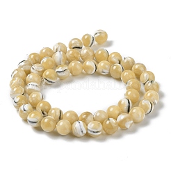 Natural Trochus Shell Beads Strands&nbsp;BSHE-P033-03B
