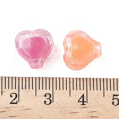 透明なアクリルビーズ  二層ビーズ  ハート  ミックスカラー  11x11.5x8.5mm  穴：3mm&nbsp;OACR-D314-02