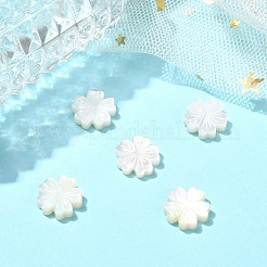 ナチュラルホワイトシェルビーズ5個。  シーシェルビーズ  花  ホワイト  11.5x12x3mm  穴：0.9mm&nbsp;BSHE-CJ0001-11