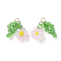 ガラスビーズのペンダント  真鍮のループを有します  フラワーオブライフチャーム  ピンク  18~20x23~24x5~5.5mm  穴：2.5mm&nbsp;GLAA-C028-07D