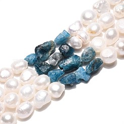 天然アパタイトナゲットと天然養殖淡水真珠ビーズ連売り  5.5~12x4.5~9x3.5~9mm  穴：0.8mm  パール：6~13x6~9x3.5~7.5mm  穴：0.6mm  約19~21個/連  6.30~6.69インチ（16~17cm）&nbsp;PEAR-N023-01A-09