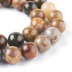 Natural Bumblebee Jasper Beads Strands&nbsp;X-G-F691-01-10mm