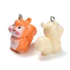不透明樹脂ペンダント  リスチャーム  プラチナ鉄ループ付き  ミックスカラー  28.5-29x14.5-15x24-24.5mm  穴：2-2.2mm&nbsp;CRES-B039-06