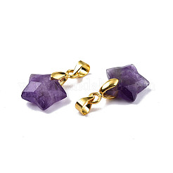 Faceted Natural Mixed Gemstone Charms&nbsp;G-N326-142-M