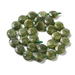 Natural Chinese Jade/Southern Jade Beads Strands&nbsp;G-NH0004-041