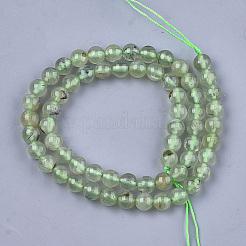 Natural Prehnite Beads Strands&nbsp;G-S333-6mm-032
