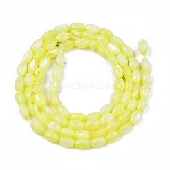 Freshwater Shell Beads Strands&nbsp;SHEL-T009-B15-01