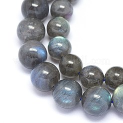 Natural Labradorite Beads Strands&nbsp;G-F602-04-10mm