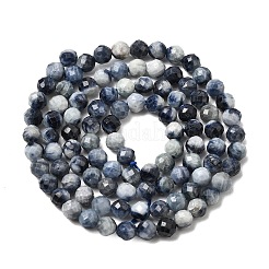 Natural Sapphire Beads Strands&nbsp;G-G343-B05-4mm