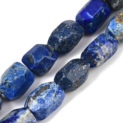 Natural Lapis Lazuli Beads Strands&nbsp;G-F796-C01-01