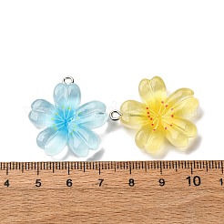Transparent Resin Pendants&nbsp;RESI-A046-05B