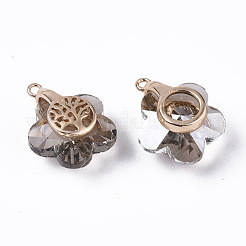 Glass Pendants&nbsp;GLAA-N038-006A