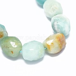 Natural Amazonite Beads Strands&nbsp;G-F632-18