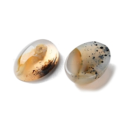 Natural Dendritic Agate Cabochons&nbsp;G-B138-02A