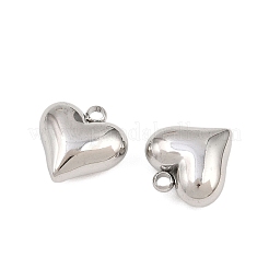 304 Stainless Steel Charms&nbsp;STAS-Z166-10P