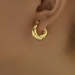 Twisted 201 Stainless Steel Hoop Earrings for Women&nbsp;JB8959