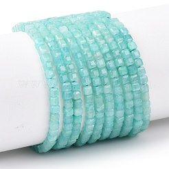 Natural Amazonite Beads Strands&nbsp;G-K366-H01-3mm