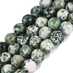 Natural Green Spot Jasper Beads Strands&nbsp;G-Q601-13A-07