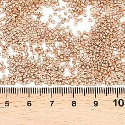 MIYUKI Delica Beads&nbsp;SEED-X0054-DB2518