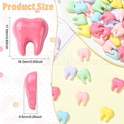 60Pcs 6 Colors Opaque Resin Cabochons&nbsp;RESI-CJZ0001-01