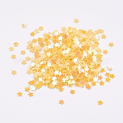 Ornament Accessories Plastic Paillette/Sequins Beads&nbsp;PVC-G001-05B