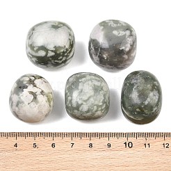 天然の平和の翡翠ビーズ  タンブルストーン  ナゲット  穴なし/ドリルなし  花瓶フィラーの宝石  20~35x22~40x14~27mm&nbsp;GG-CBAD0F6-B13-01
