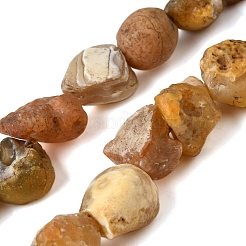 Natural Botswana Agate Beads Strands&nbsp;G-S386-C10