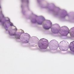 Natural Amethyst Bead Strands&nbsp;G-P279-43-3mm