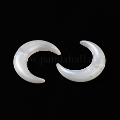 Acrylic Beads&nbsp;OACR-H042-06B
