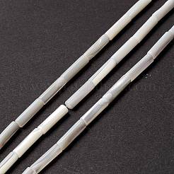 天然トロチッドシェル/トロカスシェルビーズ  ストレートチューブ  貝殻色  14x3.5~4mm  穴：0.8mm  約29個/連  15.98インチ（40.6cm）&nbsp;X-SSHEL-O001-26B
