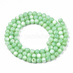 Natural Freshwater Shell Beads Strands&nbsp;SHEL-N003-24-B03