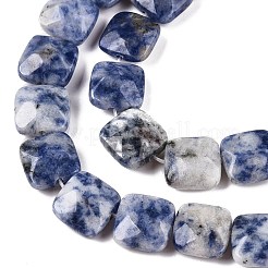Natural Blue Spot Jasper Beads Strands&nbsp;G-T138-172