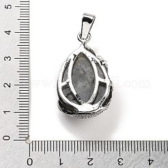 Natural Labradorite Teardrop Pendants&nbsp;G-G112-03P-09