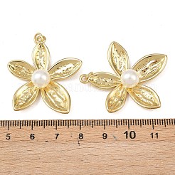 Brass Pendants&nbsp;KK-L255-23G-02