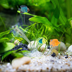 プラスチックおもちゃ100個  浮き魚  子供の入浴のおもちゃ  ミックスカラー  17~23x24~36x6~11mm&nbsp;KY-GA0001-23