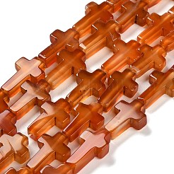 天然赤瑪瑙（染色・加熱）ビーズ連売り  クロス  20.5x12.5x4.5mm  穴：1mm  約19個/連  15.55''（39.5センチメートル）&nbsp;G-I337-A02-01