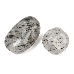 Natural Biotite Beads&nbsp;GG-CBAD0F6-B03-01