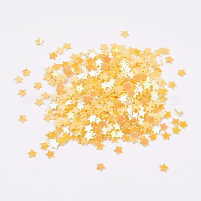 Ornament Accessories Plastic Paillette/Sequins Beads&nbsp;PVC-G001-05B-1