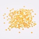 Ornament Accessories Plastic Paillette/Sequins Beads&nbsp;PVC-G001-05B-2