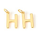 Brass Charms&nbsp;KK-I672-01H-G-1
