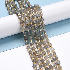 Natural Labradorite Beads Strands&nbsp;G-P463-35