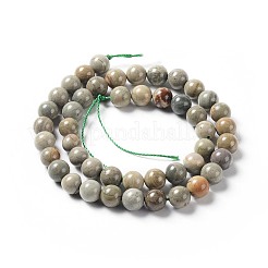 Natural Silver Leaf Jasper Beads Strands&nbsp;G-F627-13