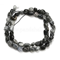 Natural Eagle Eye Stone Beads Strands&nbsp;G-D108-A02-04